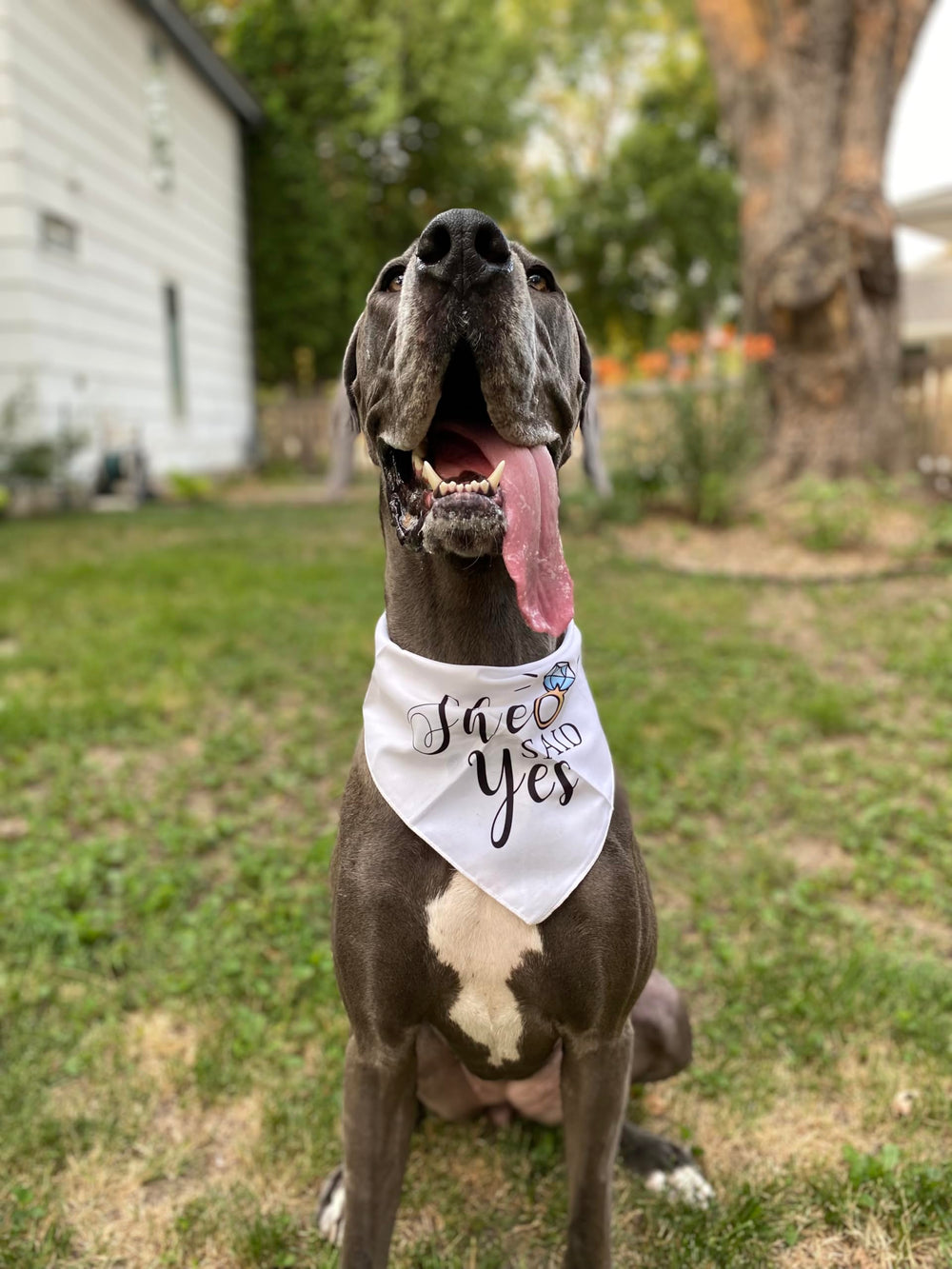 Yangmics Direct ambiance mariage montrant bandana intégrée au style nuptial