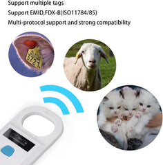 Yanzeo AR180 en main pour comparer taille et portabilité sur le terrain