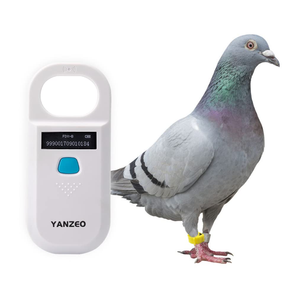 Yanzeo AR180 utilisé sur un chat montrant douceur et lecture fiable