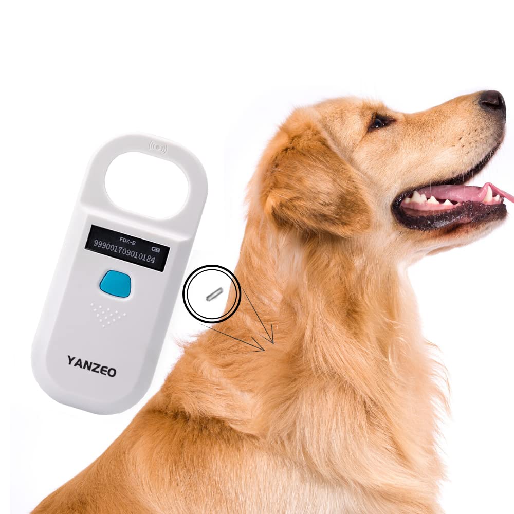 Yanzeo AR180 en train de scanner un chien pour retrouver rapidement l'identité
