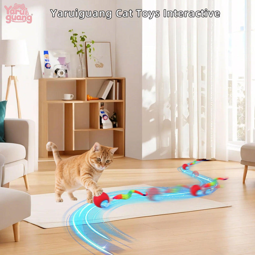 Yaruiguang balle utilisée dans salon, favorise activité et bien-être animal