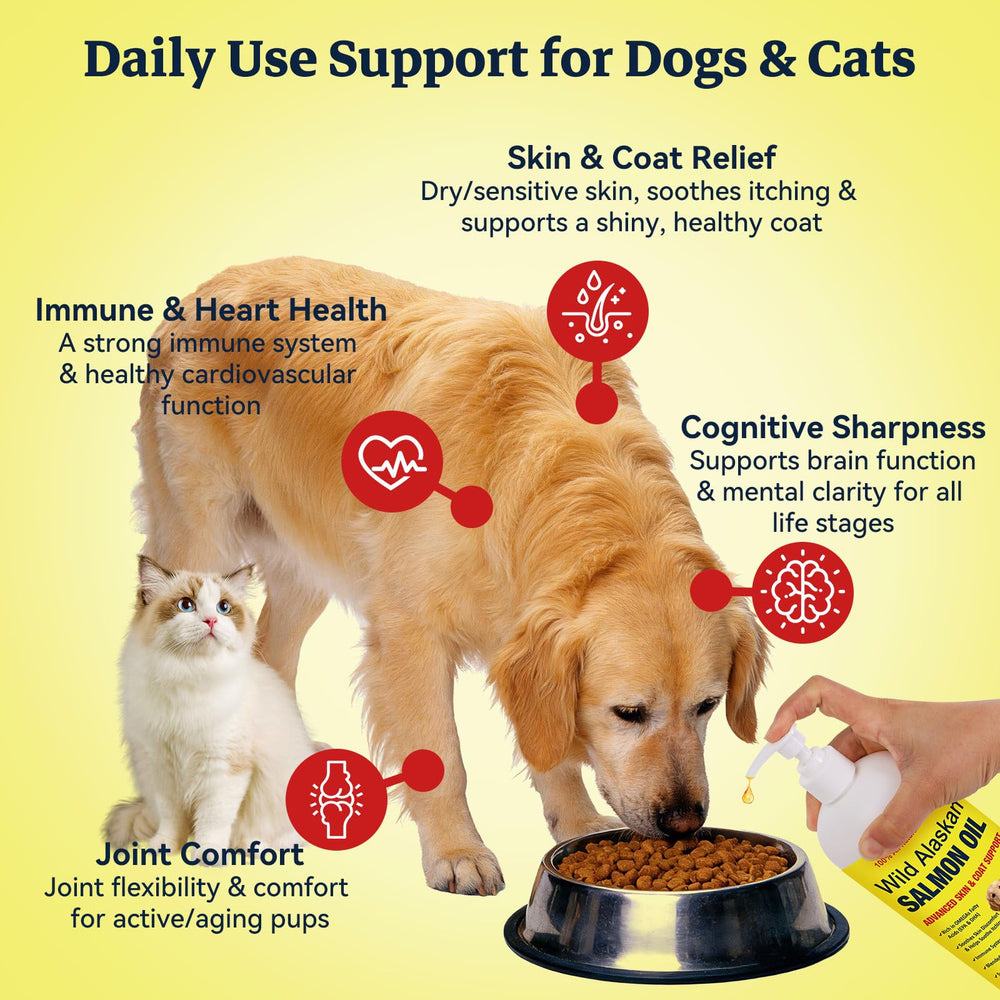 Yasawpet huile de saumon texture claire illustrant pureté et qualité