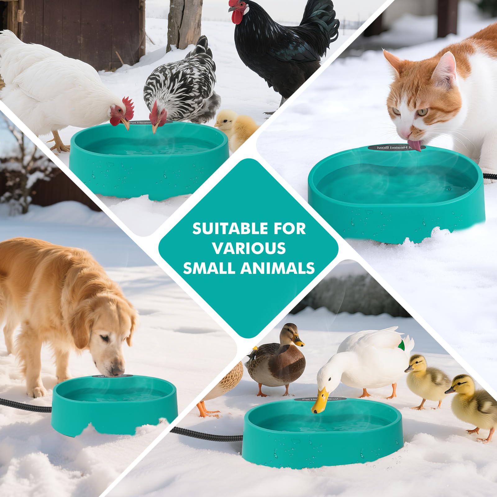 yeatruojeet gamelle en situation avec chien et chat facilitant l'accès à l'eau