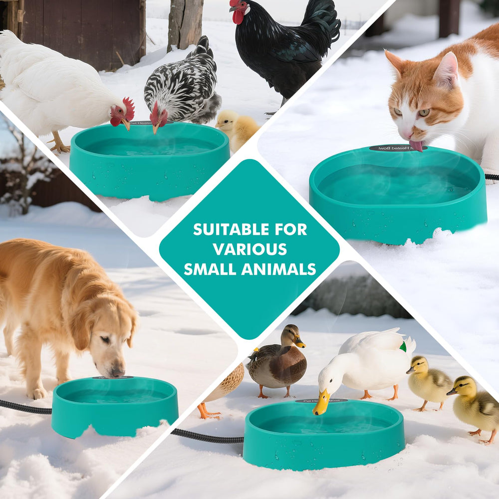 yeatruojeet gamelle en situation avec chien et chat facilitant l'accès à l'eau