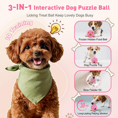 YEENER chien en train de lécher la balle pour stimulation mentale