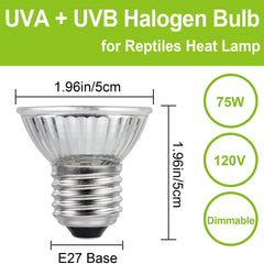 YEGRUEB gros plan du verre et filament montrant qualité et diffusion thermique