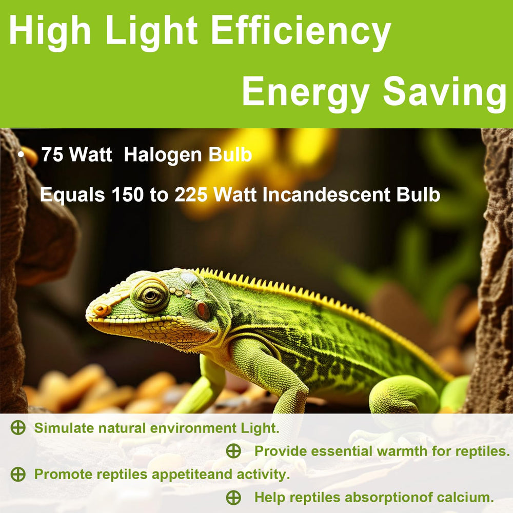 YEGRUEB ampoule installée dans terrarium bénéficiant d'une zone de basking