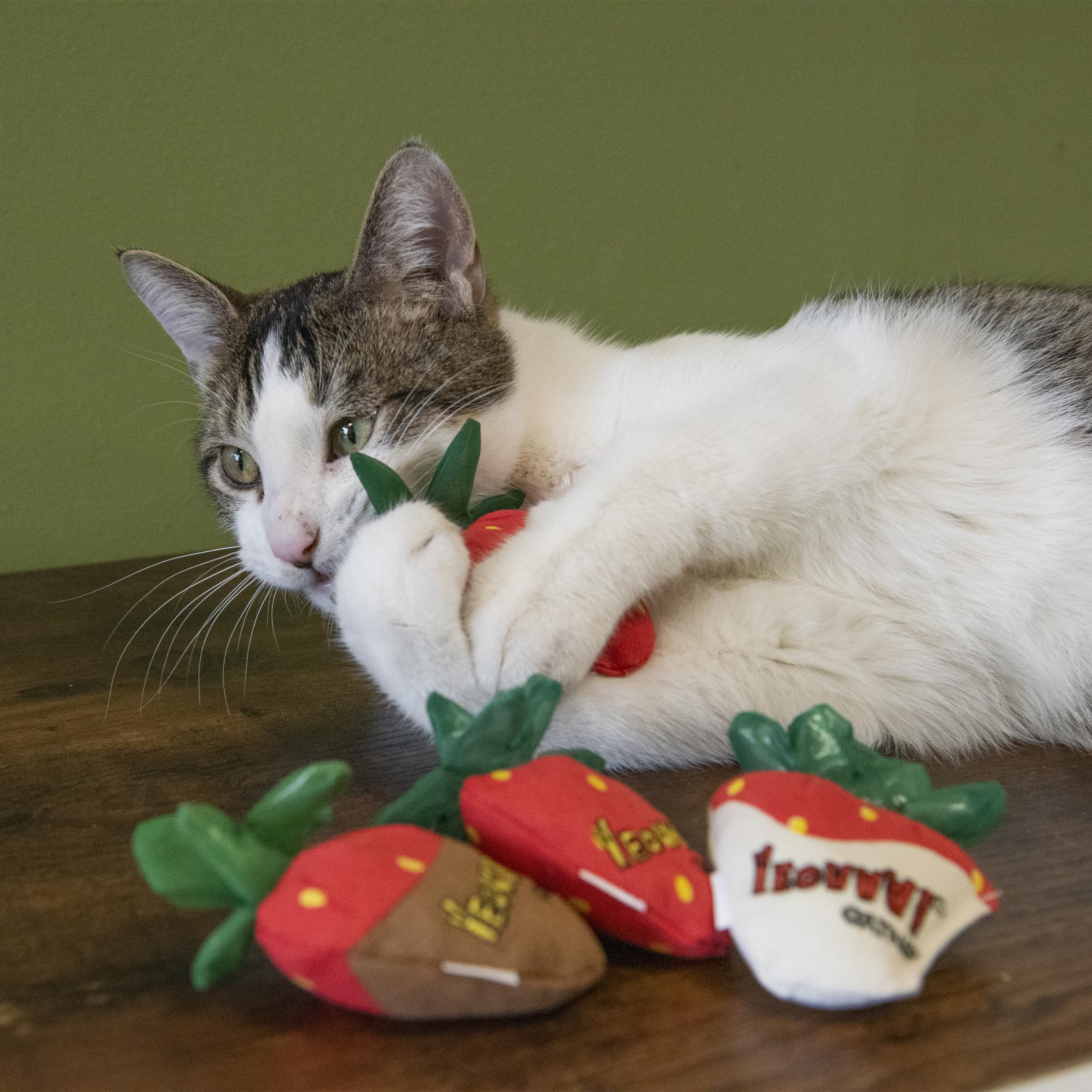 Yeowww! fraise en jeu avec chat montrant divertissement actif et exercice
