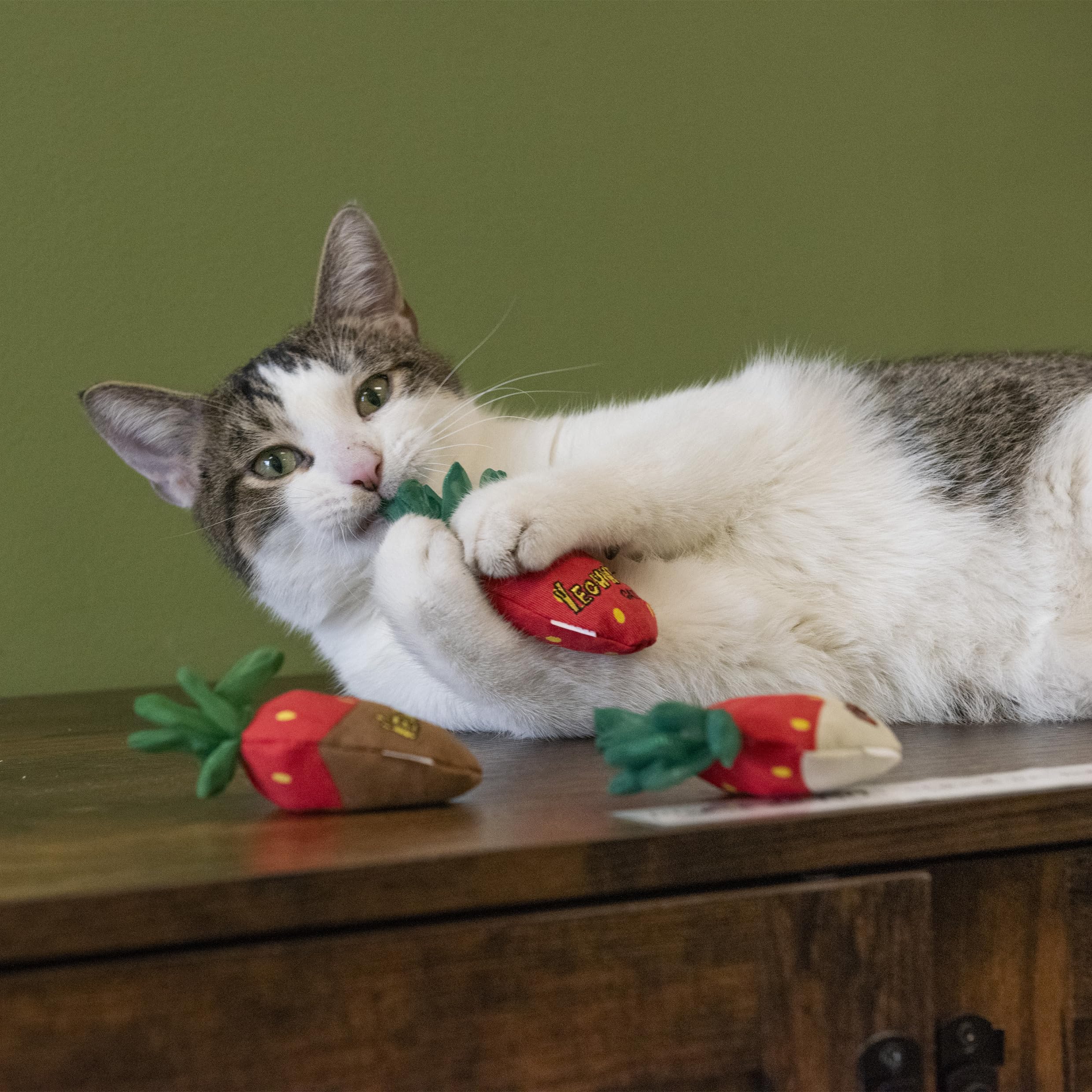 Yeowww! vue du rembourrage montrant herbe à chat biologique pour stimulation
