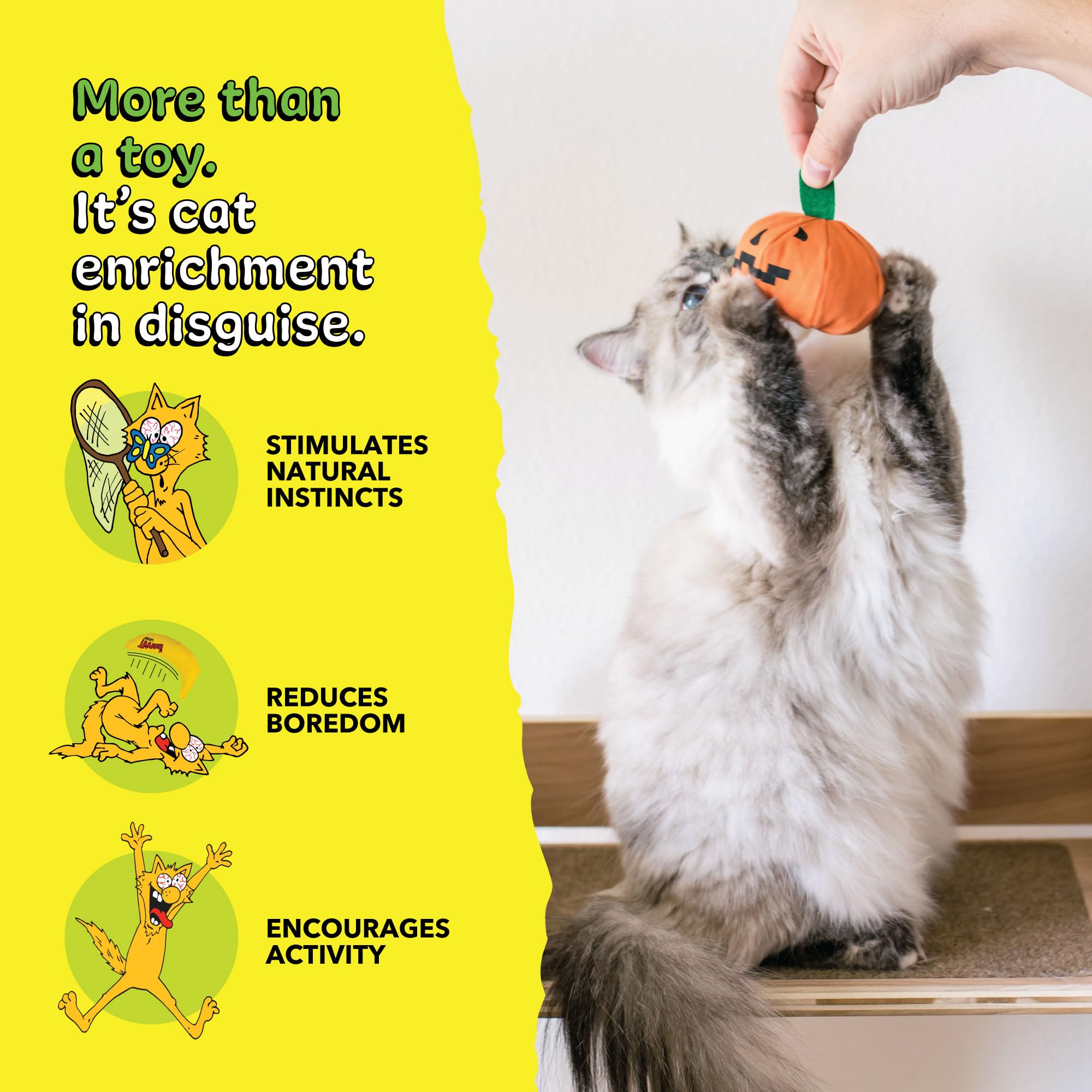 Yeowww! plusieurs jouets sur étagère suggèrent choix pour multi-chats
