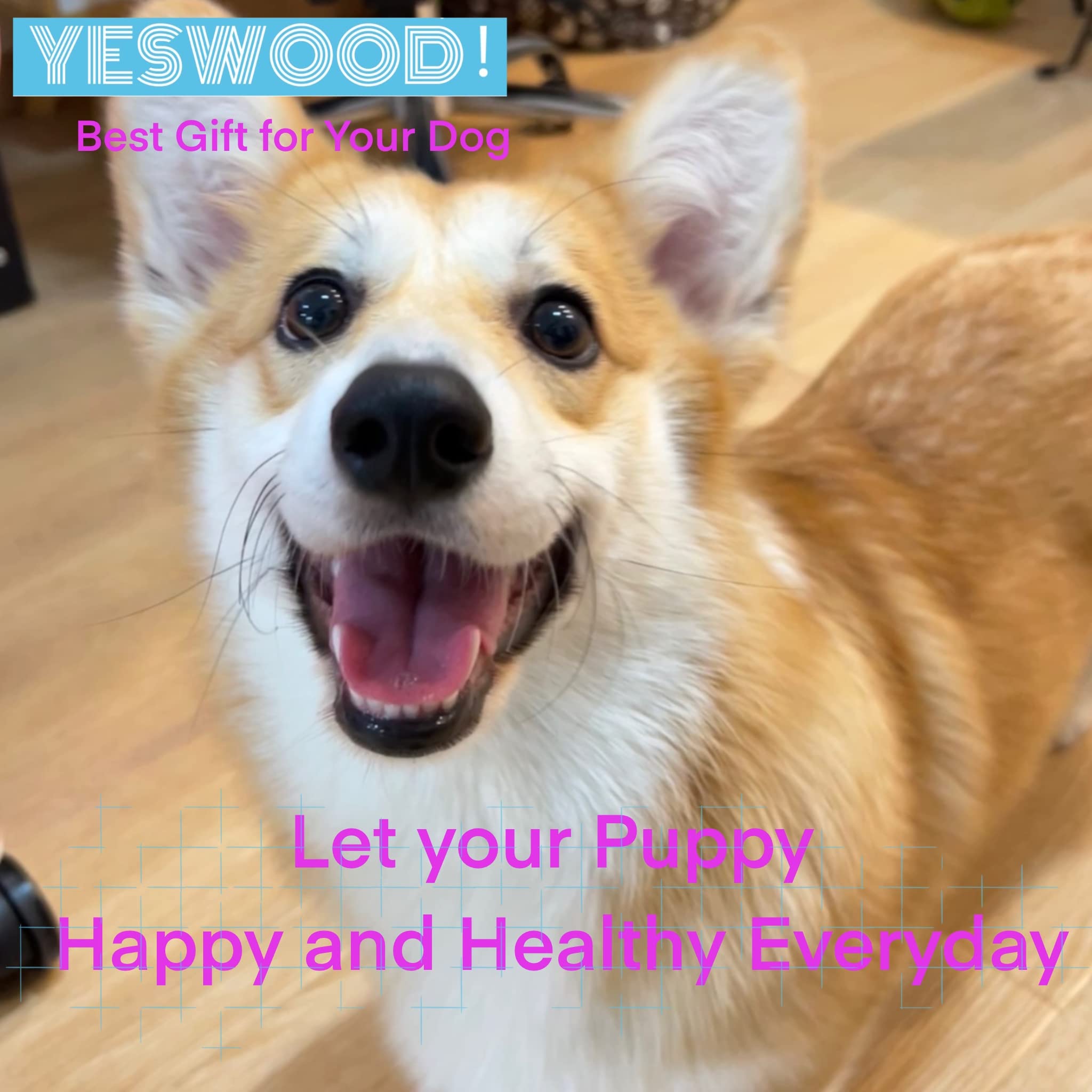 YESWOOD! scène intérieure lifestyle montrant usage ludique et lien propriétaire