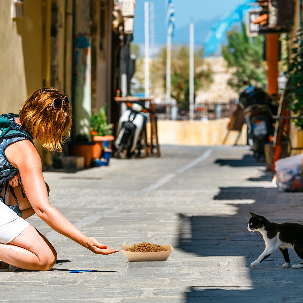 Yetene bol échelle à la main montrant taille adaptée aux petits animaux