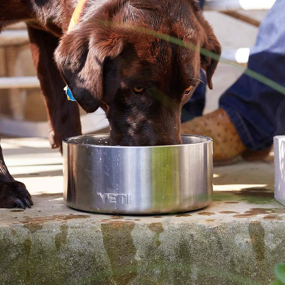 YETI Boomer 4 mise en scène cuisine illustrant facilité d'entretien
