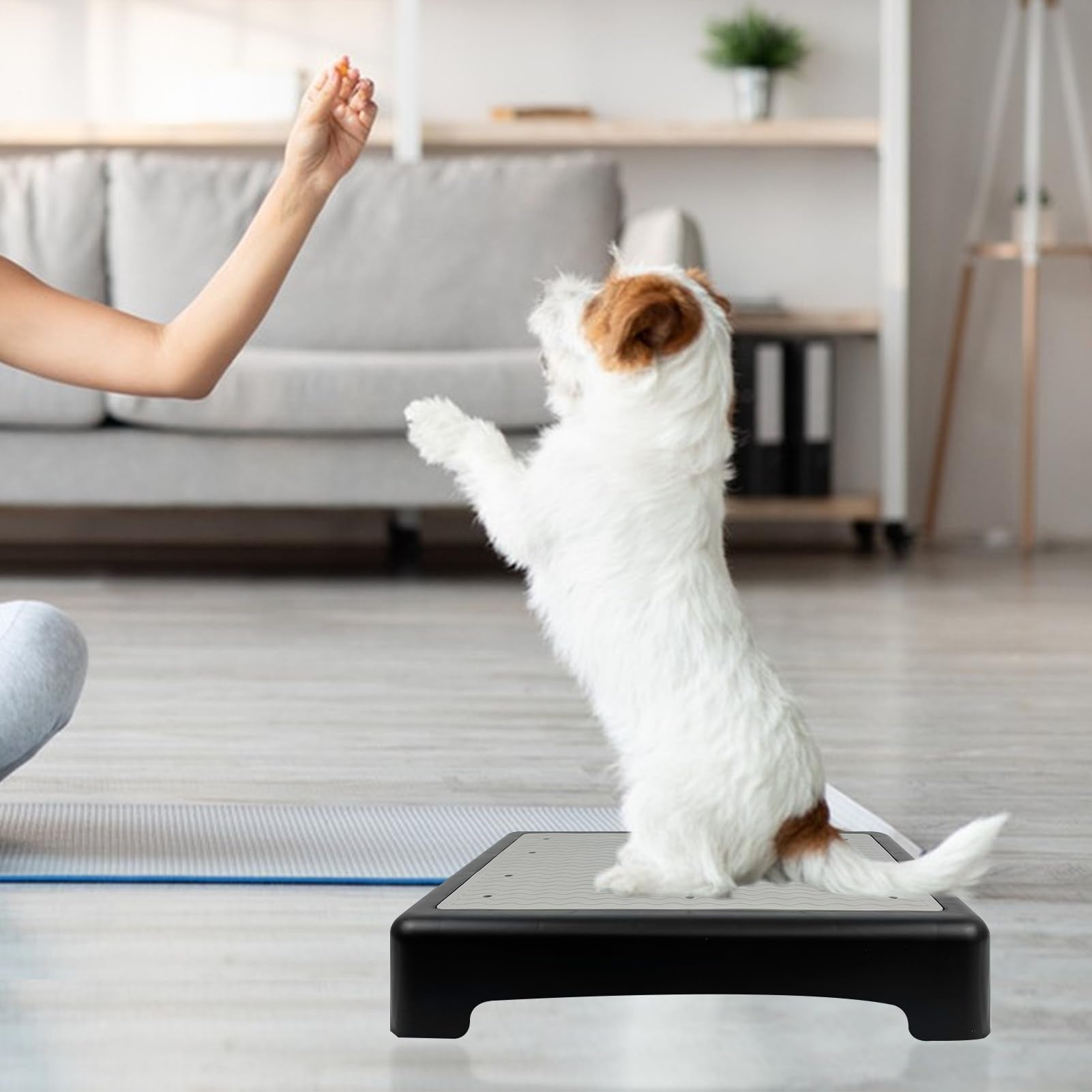 YEXEXINM comparaison taille avec une main pour visualiser encombrement et portabilité