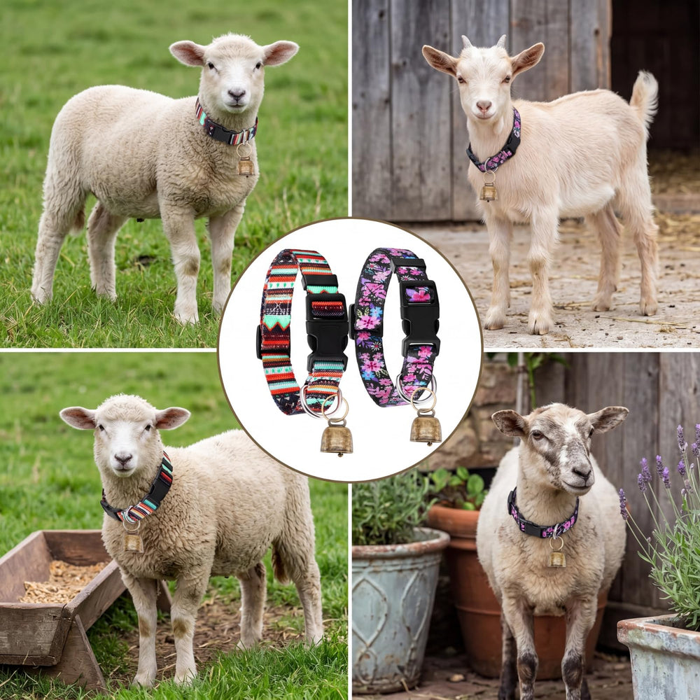 Yeyeplum collier sur chèvre exemple d'ajustement et confort