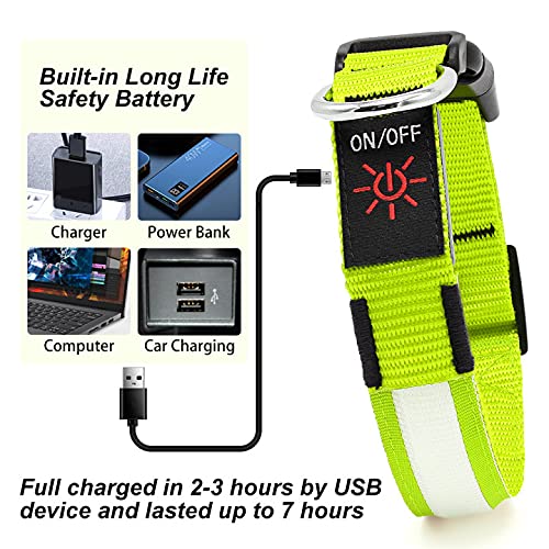YFbrite collier en usage promenade améliorant repérage du chien