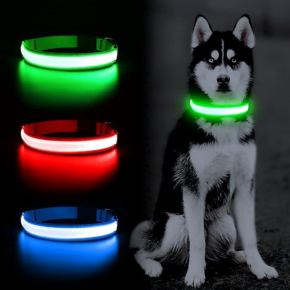 YFbrite collier lifestyle de nuit facilitant promenades tranquilles