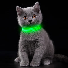 YFbrite collier porté sur chien en promenade nocturne pour meilleure visibilité