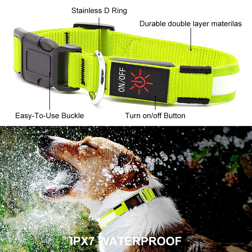 YFbrite collier zoom sur boucle robuste garantissant maintien sûr