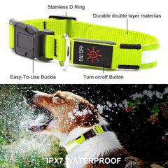 YFbrite collier zoom sur boucle robuste garantissant maintien sûr