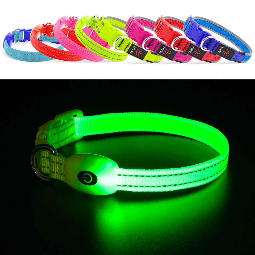 YFbrite collier taille XS sur chat illustrant ajustement confortable