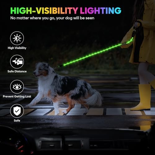 YFbrite scène urbaine nocturne présentant visibilité pour piétons