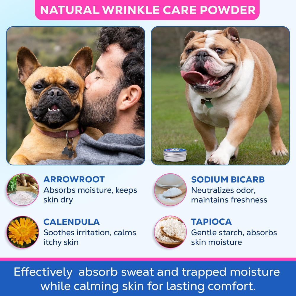 Yibesi poudre fine visible en gros plan pour absorption efficace