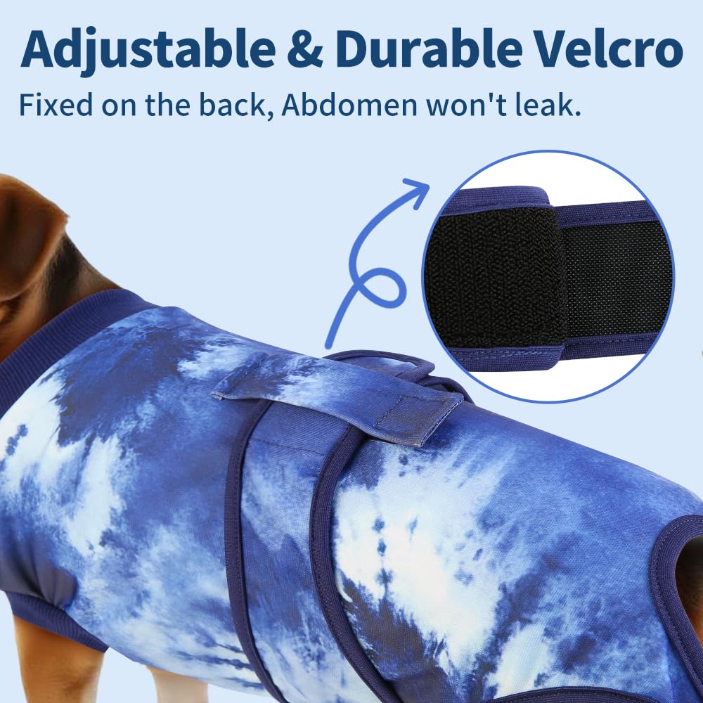 YibooAura comparaison taille montrant ajustement XS pour petit chien