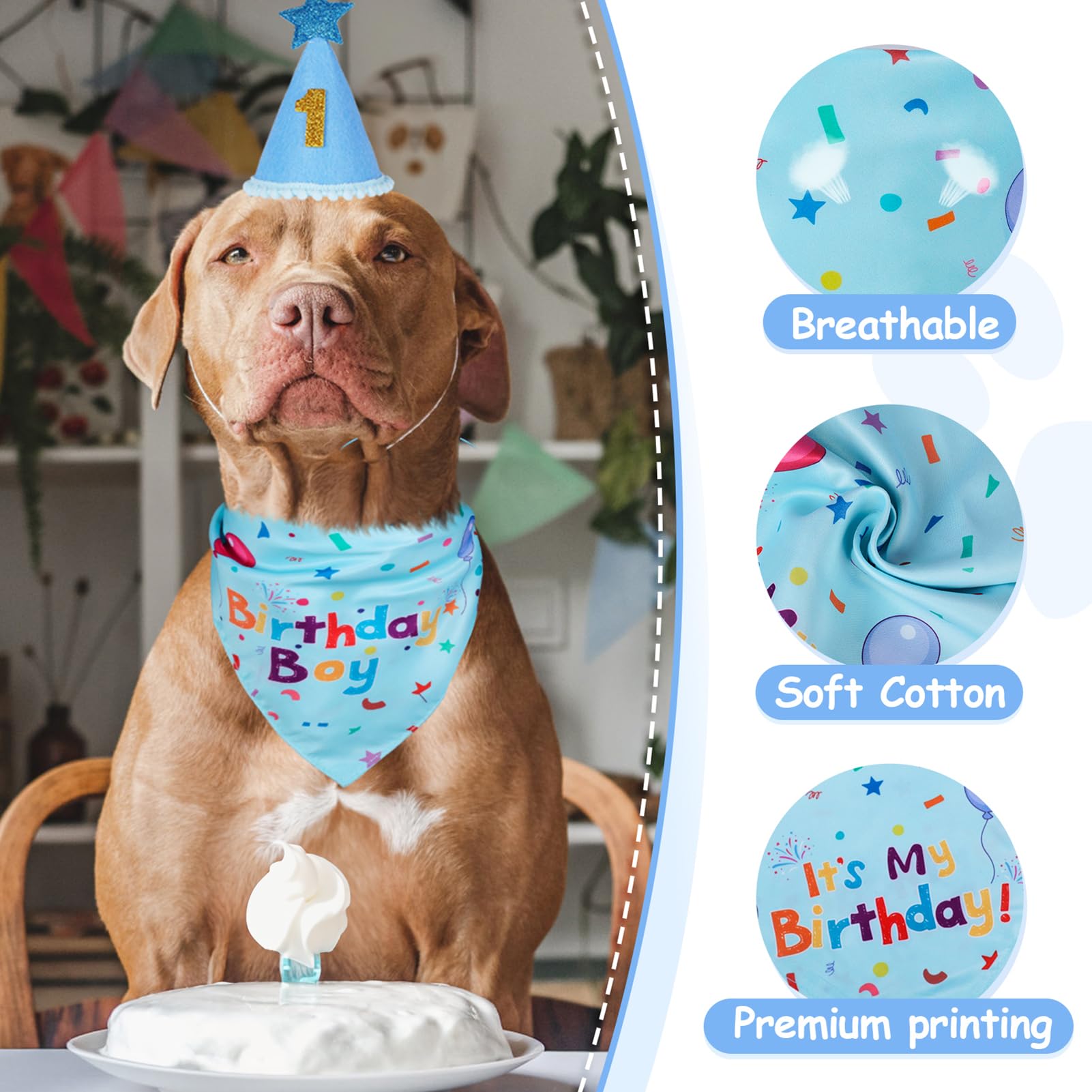 Yicostar chapeau porté par petit chien montrant ajustement sécurisé