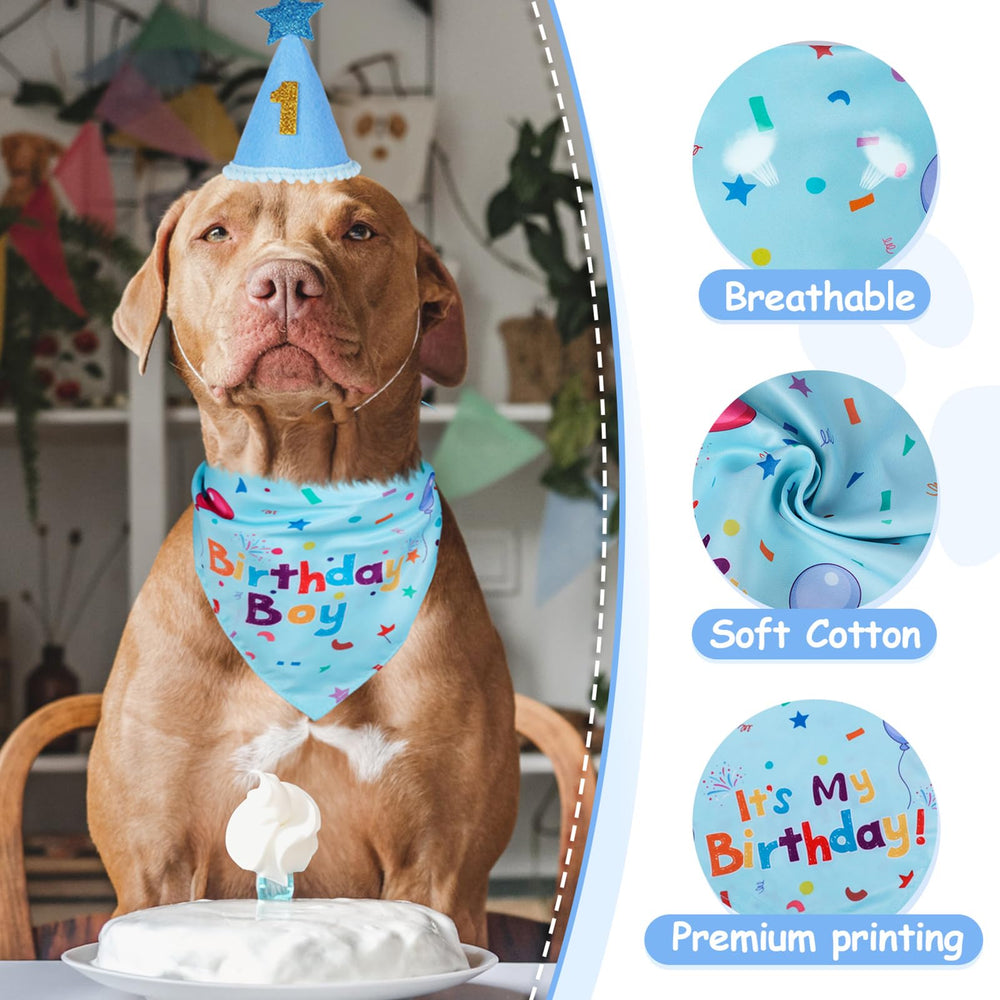 Yicostar chapeau porté par petit chien montrant ajustement sécurisé