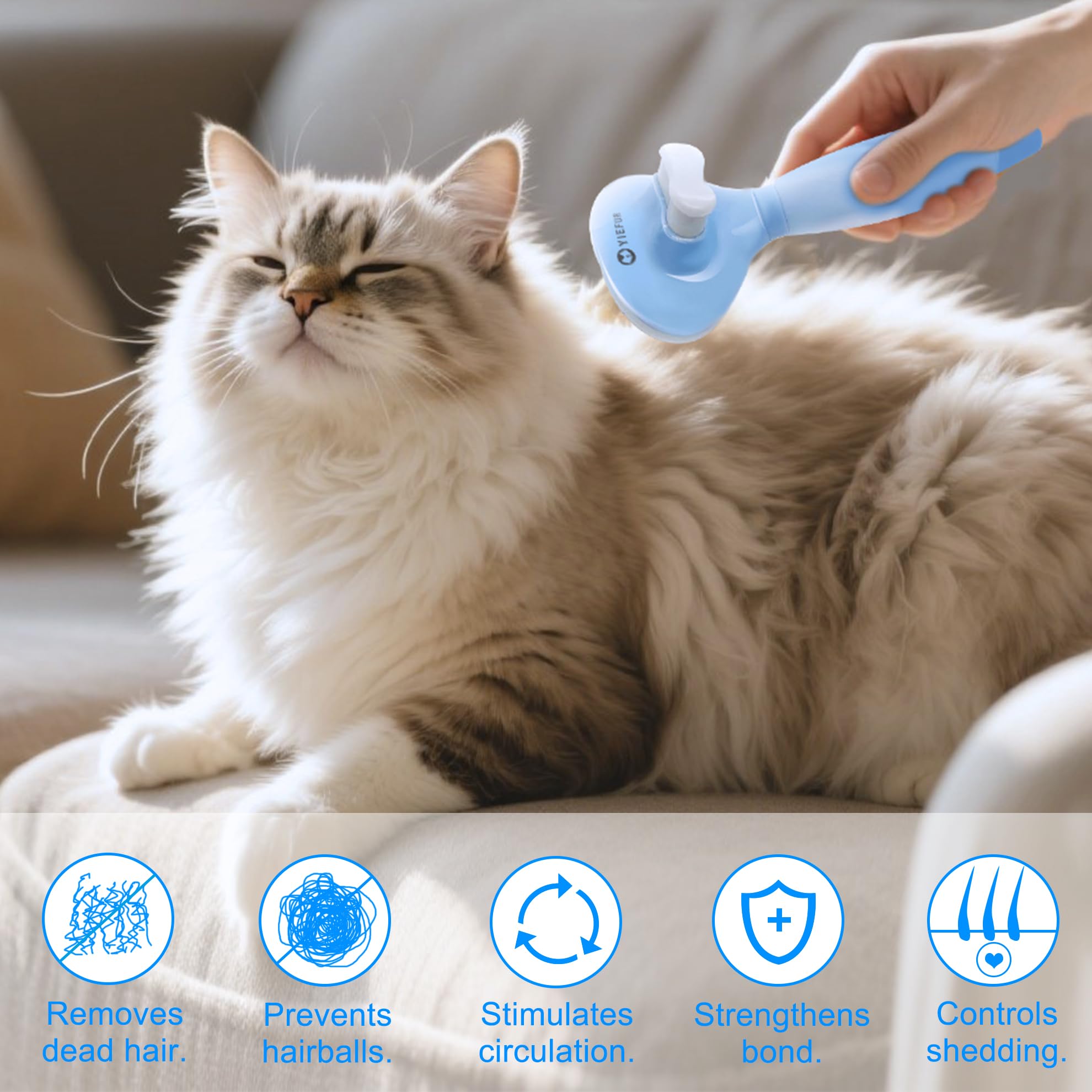YiEFUR brosse utilisée sur chat à poils longs réduit les nœuds