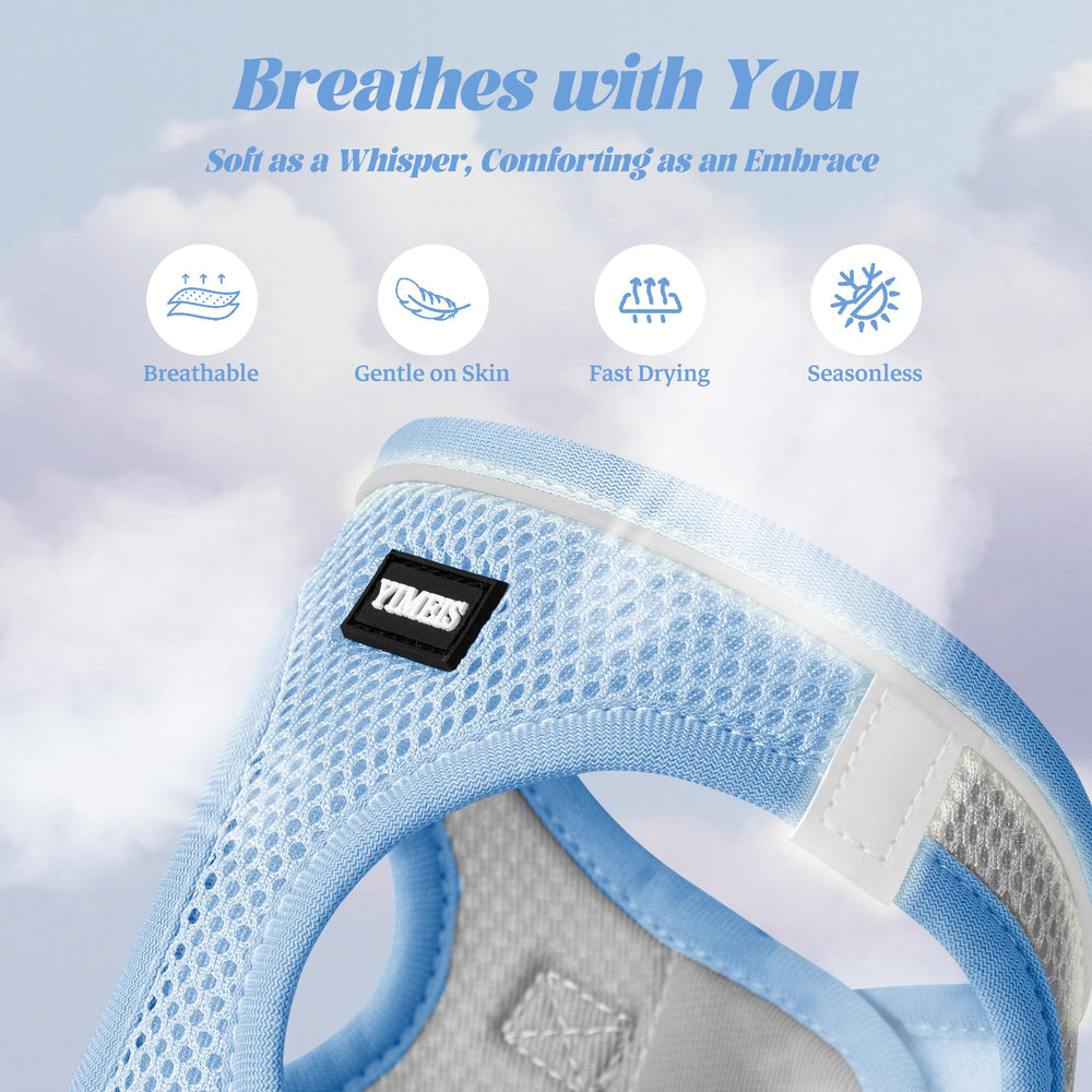 YIMEIS harnais en action chiot en promenade pour meilleur contrôle