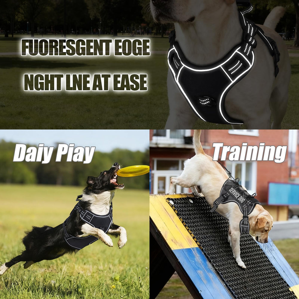 yimeis harnais porté par Labrador XL adapté aux grands chiens