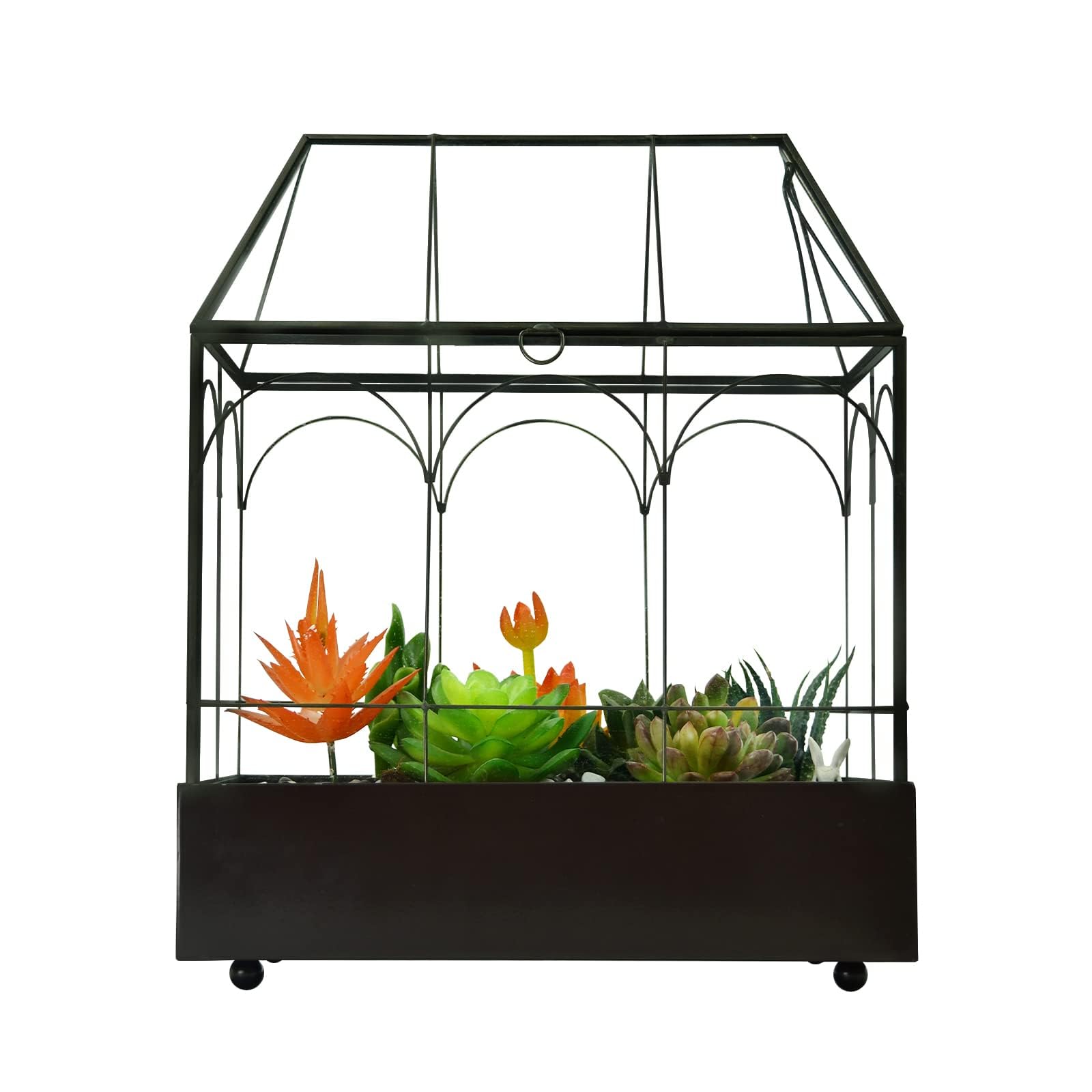 YIMORENCE V terrarium présenté en cadeau idéal pour amateurs de plantes