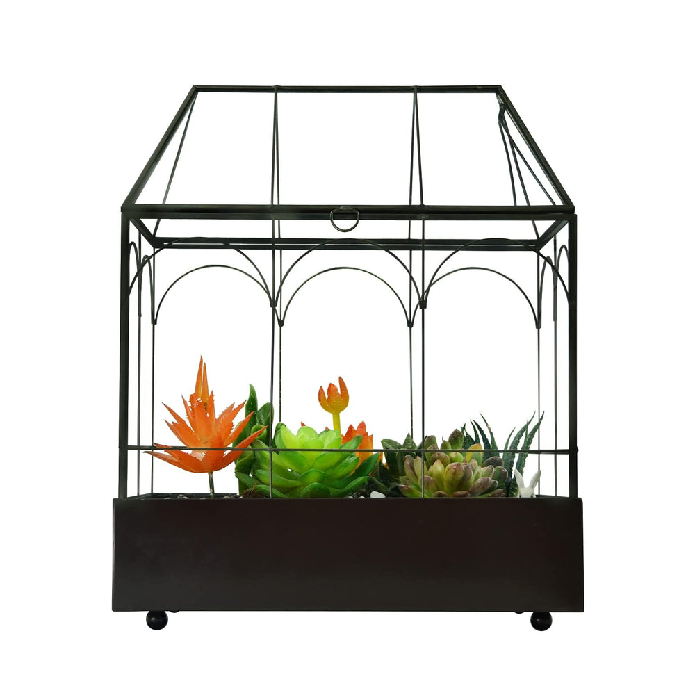 YIMORENCE V terrarium présenté en cadeau idéal pour amateurs de plantes