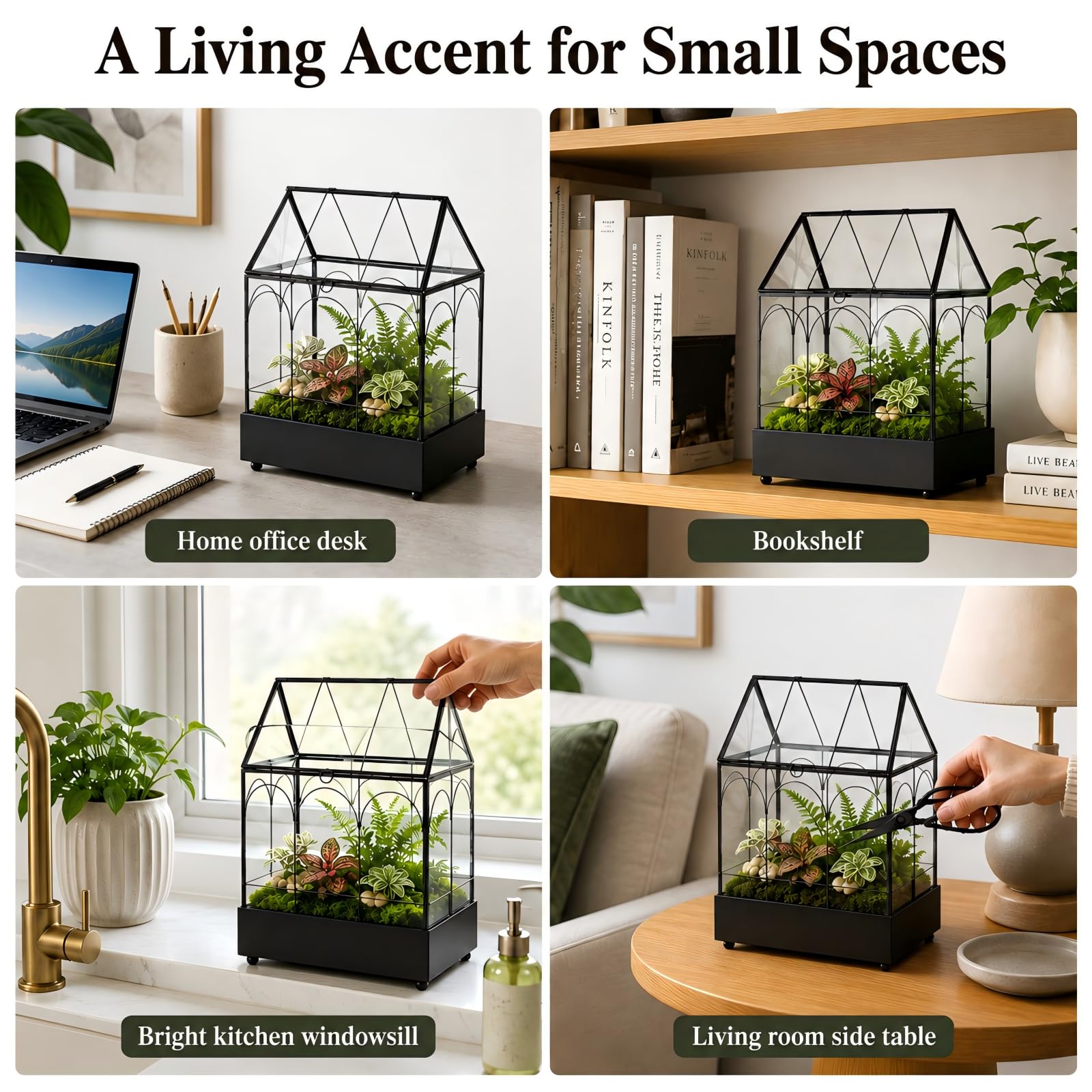 YIMORENCE V intérieur avec succulentes montrant protection et microclimat adapté