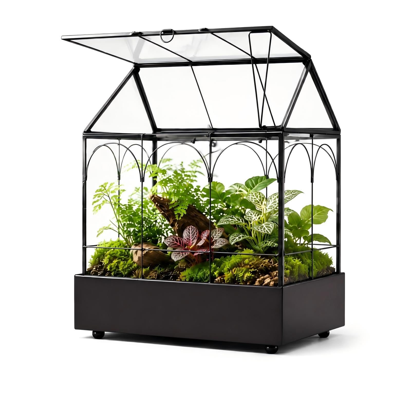 YIMORENCE V terrarium vue de face montrant design maison et présentation décorative