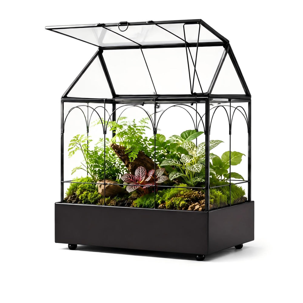 YIMORENCE V terrarium vue de face montrant design maison et présentation décorative