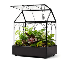 YIMORENCE V terrarium vue de face montrant design maison et présentation décorative