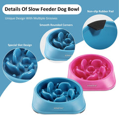 YINEYA gamelle en usage avec chien montrant mastication ralentie et interaction