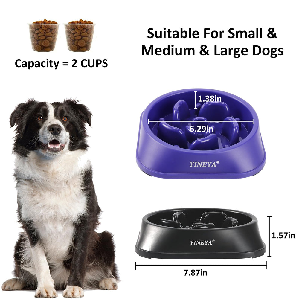 YINEYA gamelle en usage avec chien moyen réduisant vitesse d'ingestion