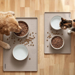 YINEYA détail du rebord élevé contenant eau et croquettes