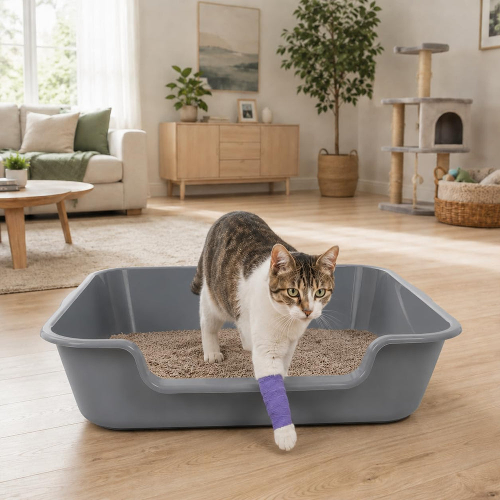 Ying Tutu comparaison échelle avec chat montrant l'espace généreux