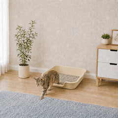 Ying Tutu profil faible entrée accessible pour chats seniors
