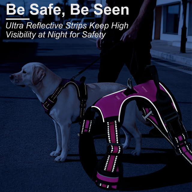 Yintrest harnais en usage promenade sur grand chien, sécurité et liberté de mouvement