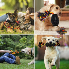 Yipetor en jeu tirage montre interaction propriétaire chien énergique