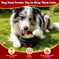 Yipetor chien poussant la balle pour obtenir friandises et exercice