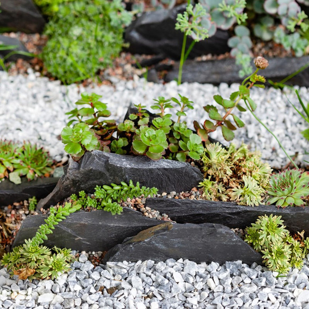 YISZM pierre placée dans un terrarium créant surfaces d'escalade