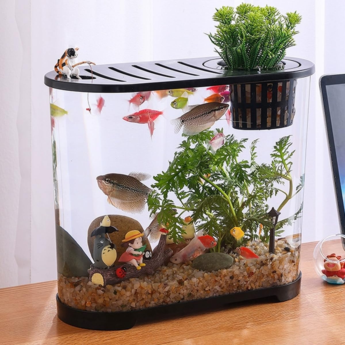 YISZM galets utilisés en décoration de vase créant ambiance