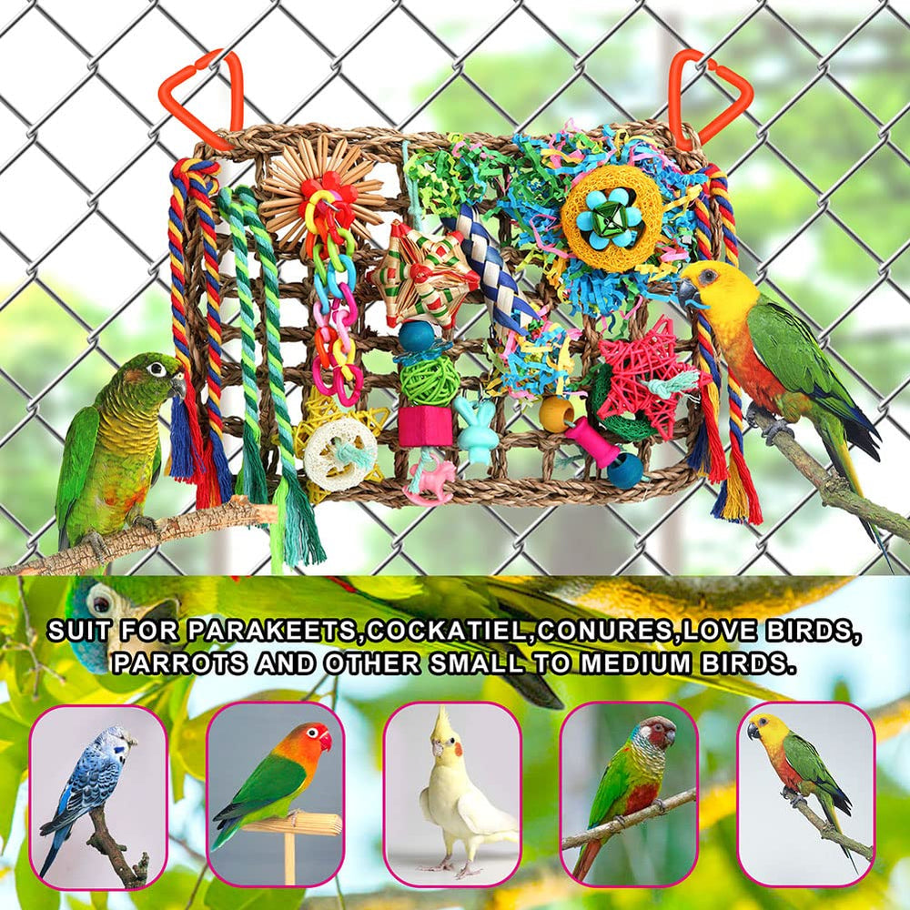 YIXUND comparaison taille par rapport à une cage pour ajustement pratique